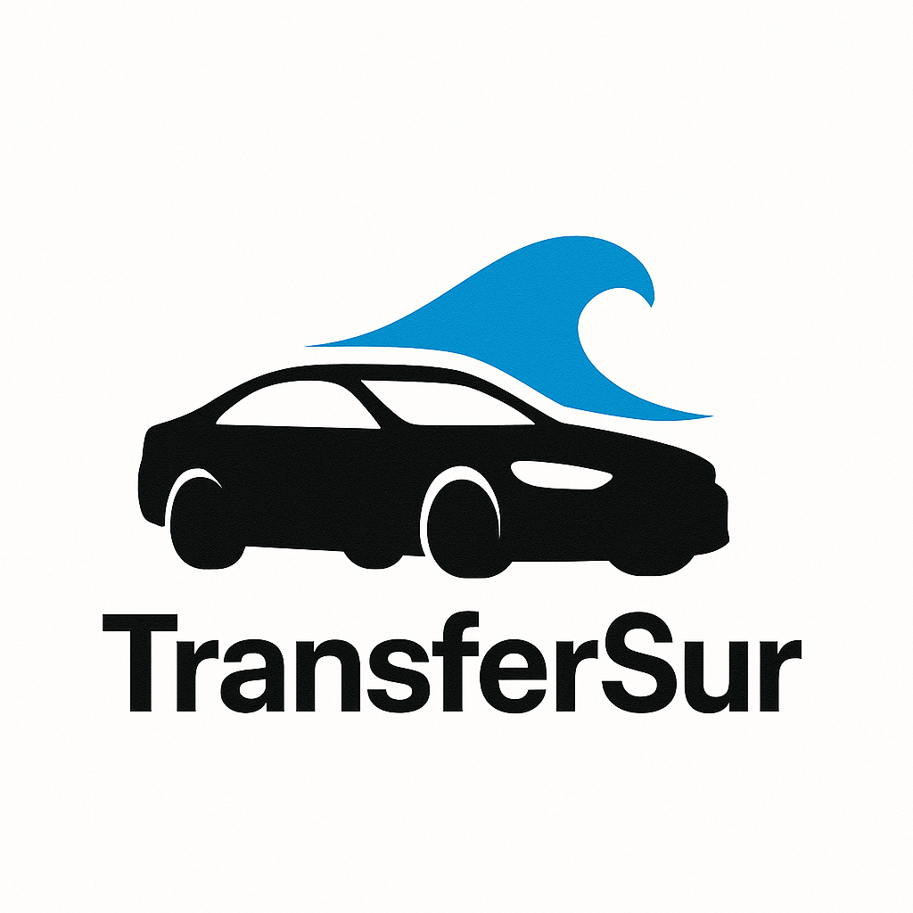 TransferSur Logo
